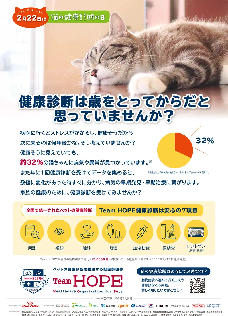 猫の健康診断キャンペーン