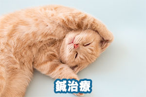 鍼治療