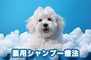 薬用シャンプー療法